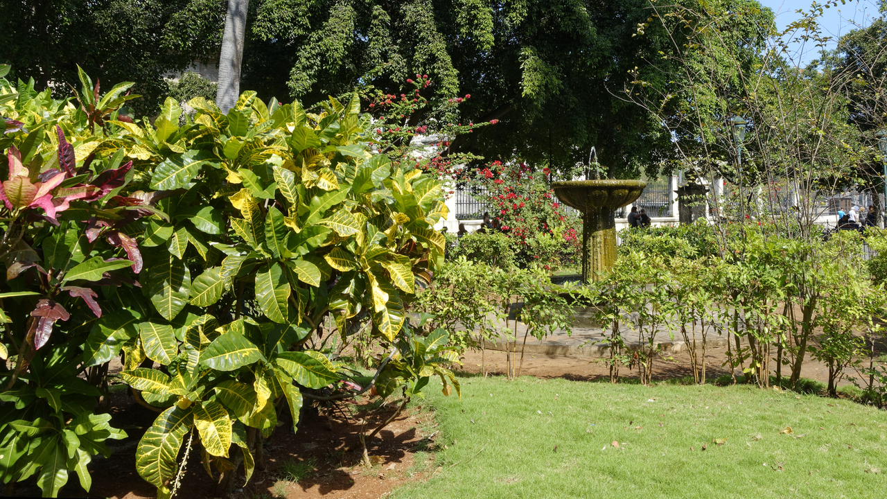 20190210-115543••Havana•La Habana•Cuba